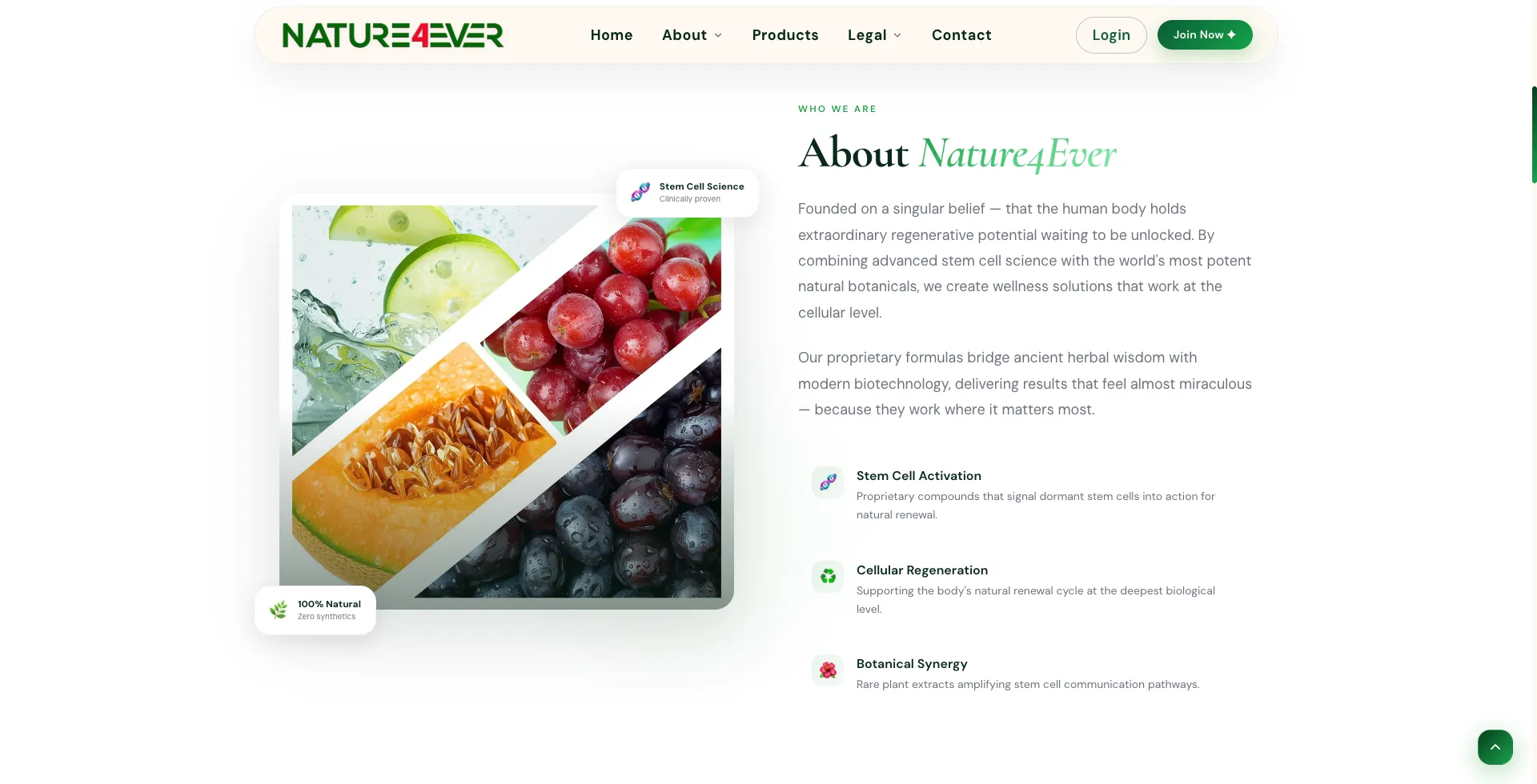 Nature4Ever screenshot